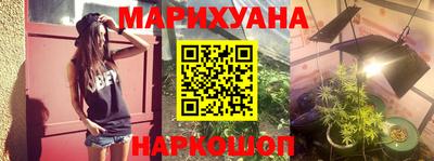 крисы Лесосибирск