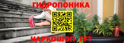 крисы Лесосибирск