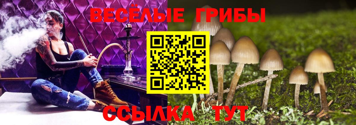 Галлюциногенные грибы Magic Shrooms Долгопрудный